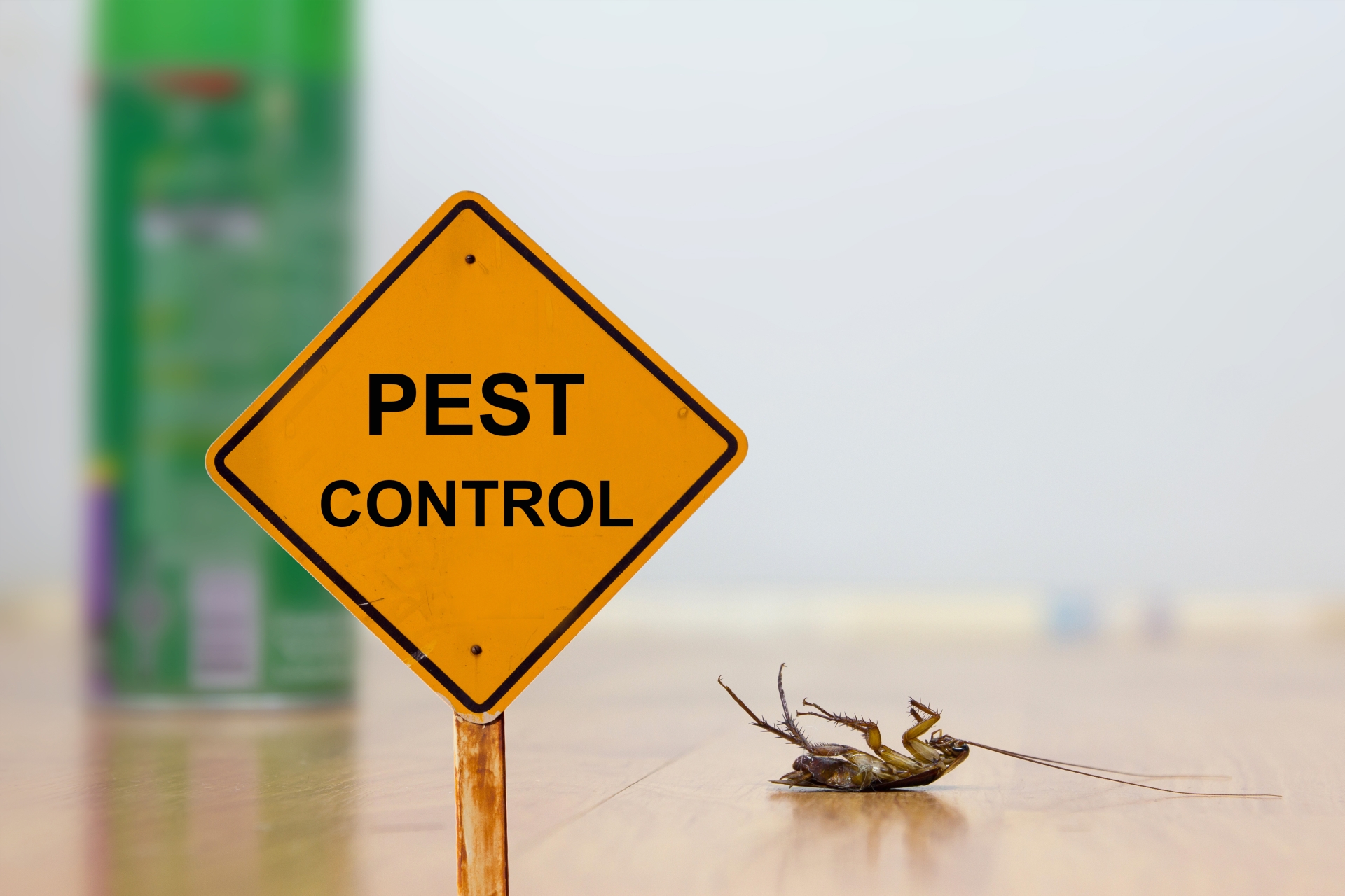24 Hour Pest Control, Pest Control in Greenhithe, DA9. Call Now 020 8166 9746